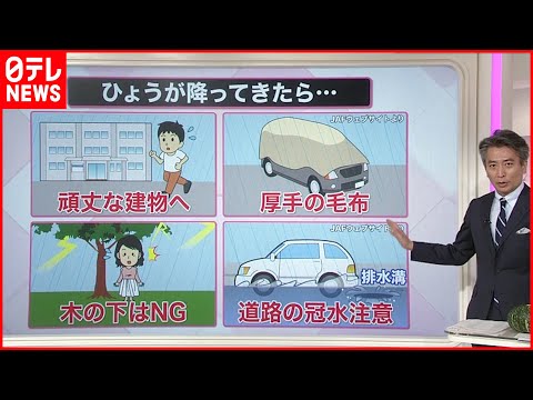 アンチひょうネット2022