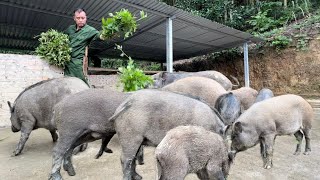 A busy day with work on the farm