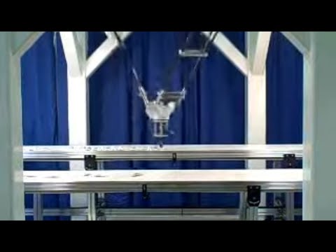 High-Speed Picking - Fanuc M3iA Robot | Remtec Automation