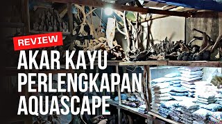 Download lagu WOOD ROOTS THE NEWEST AQUASCAPE EQUIPMENT IN JATINEGARA mp3 Download lagu WOOD ROOTS THE NEWEST AQUASCAPE EQUIPMENT IN JATINEGARA mp3