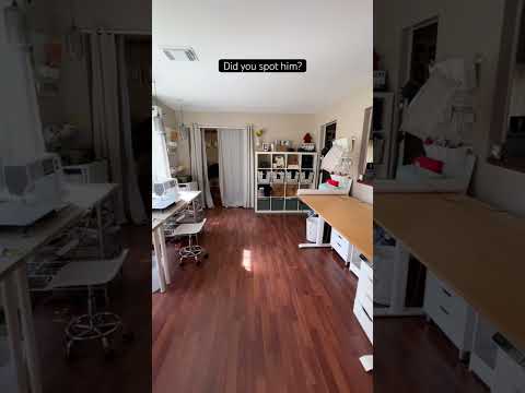 Where’s Waldo? | Sewing Room Organization #sewing #upcycling