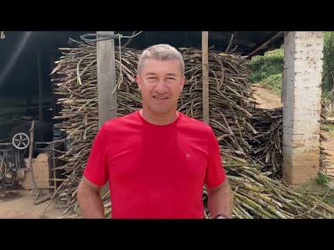 Proceso de fabricación de panela | caña - Colombia, convención N.S