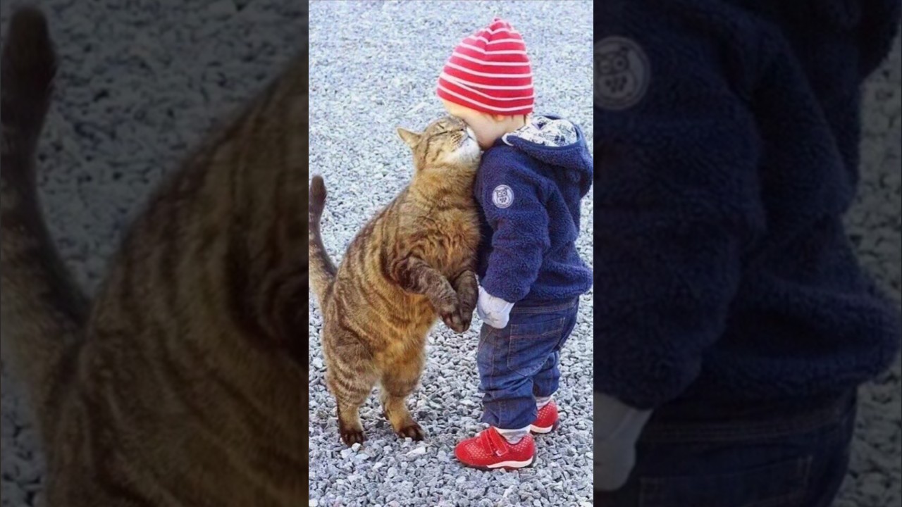 Funny animals 2023😆 - Funniest Cats and Dogs Video🐕🐈212 #shorts