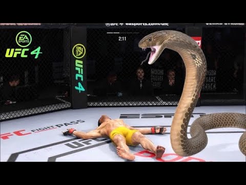 Bruce Lee vs. Cobra - EA Sports UFC 4 - Epic Fight 🔥🐲