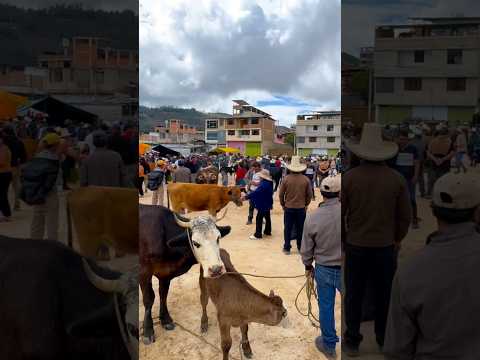 Plaza celendin Cajamarca Perú #arribalaganaderiaperuana