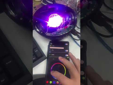 XH-MD 彩灯
