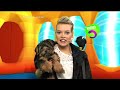 CBBC Afternoon Continuity On BBC2 Friday 29th June 2007