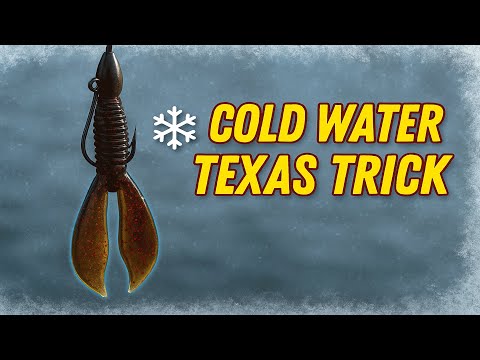 Why the Texas Rig Still Crushes in Winter | Kyle Welcher Explains | Bass Fishing