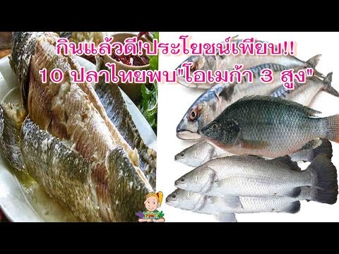 Proviron เพื่อเพิ่มสมาชิก อดทนกับค้อนพรูสัก