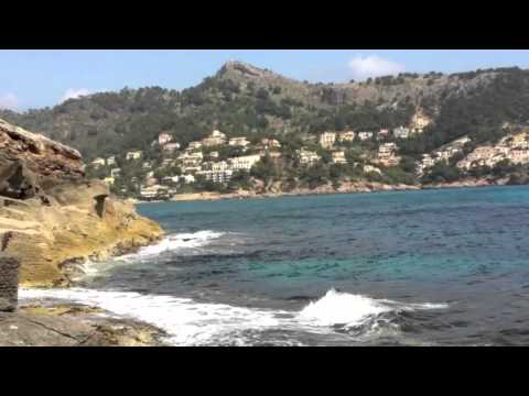 Geier Sturzflug/Am Hafen