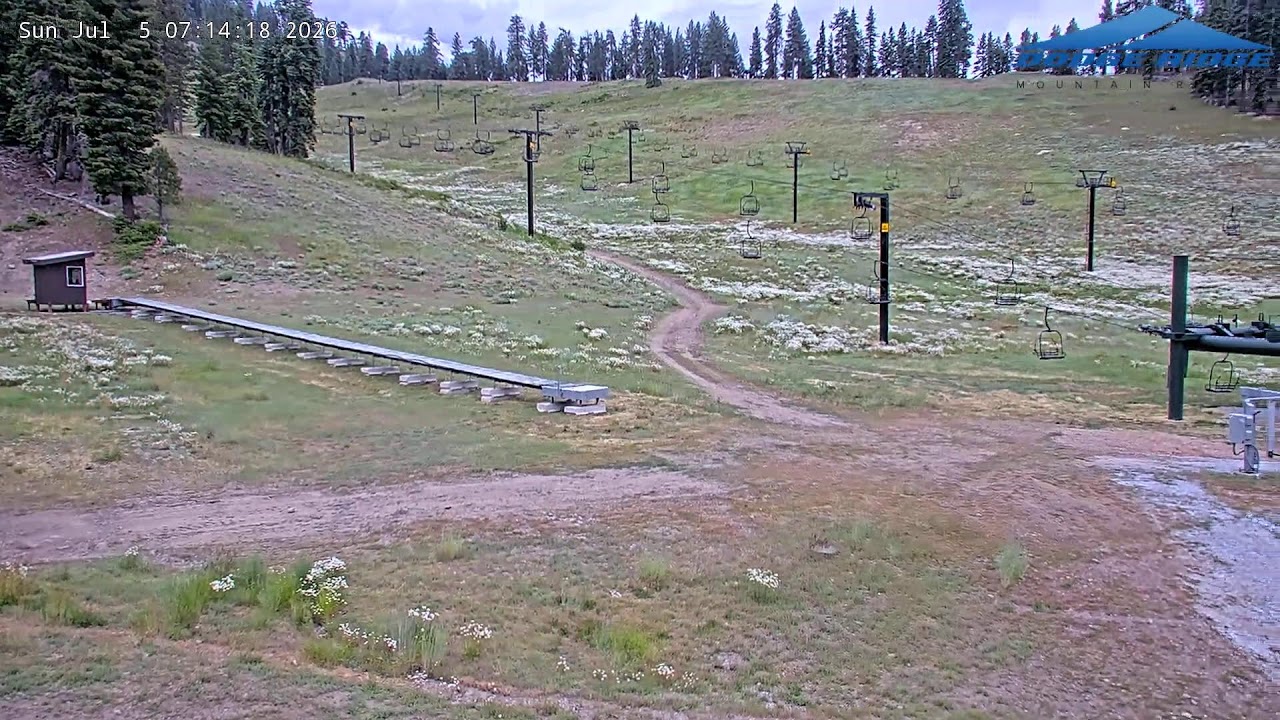Live webcam view of Dodge Ridge Base Area