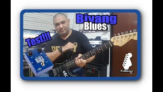 Video thumbnail for BIYANG BLUES BL 12 TEST BY KROMBERGERBC by DanielKromberger