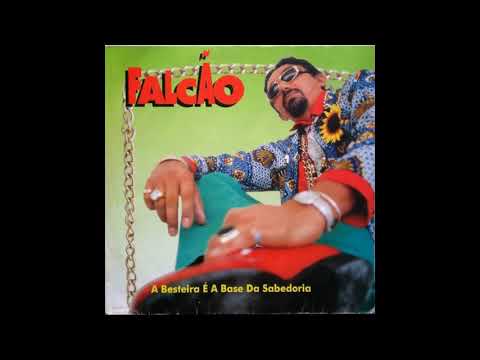 A Besteira É A Base Da Sabedoria video