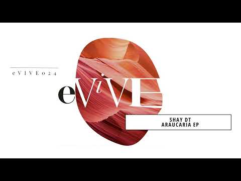 Shay dT   'Tambores del Corazon'  eVIVE