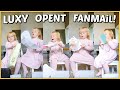 ZO REAGEERT LUXY STEEDS ALS ZE JULLiE FANMAiL OPEN MAAKT! ? | Bellinga Vlog #2135