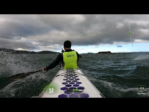 Easter Downwind, Wellington, New Zealand