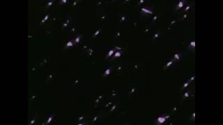 STEPS - Story of a heart (7th heaven remix)