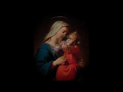 Zdravo budi Marijo, Bog te je proslavio