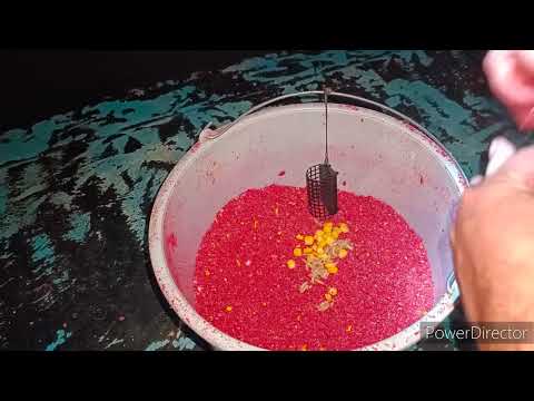 Nocni feeder ribolov mrene na Dunavu u Vukovaru