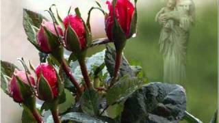 Seeds of Love - Loreena McKennitt.