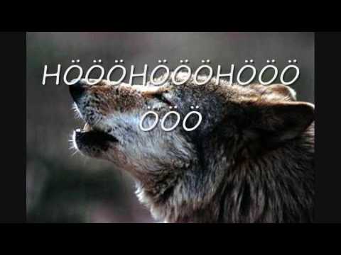 Alf Poier - Tui Tui Tat