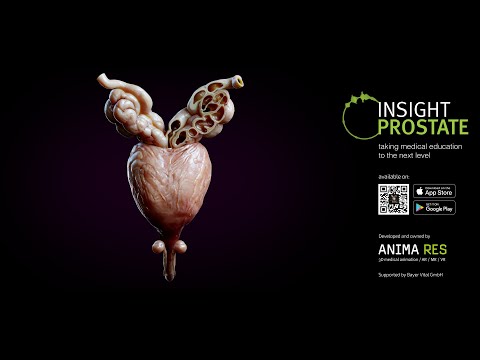 INSIGHT PROSTATE - the human prostate expedition