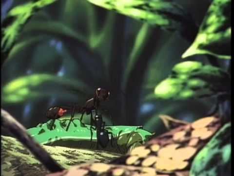 昆蟲つれづれ草