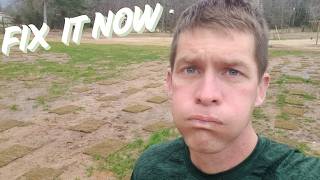 5 Common Lawn Problems with 5 REAL Solutions