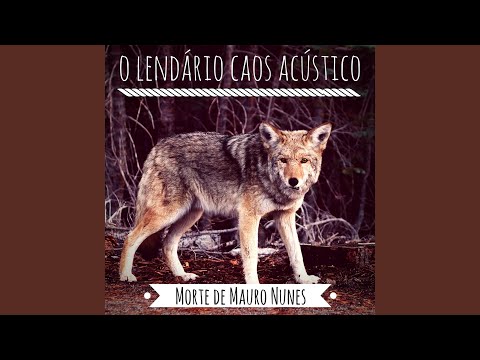 Video thumbnail for Tobby