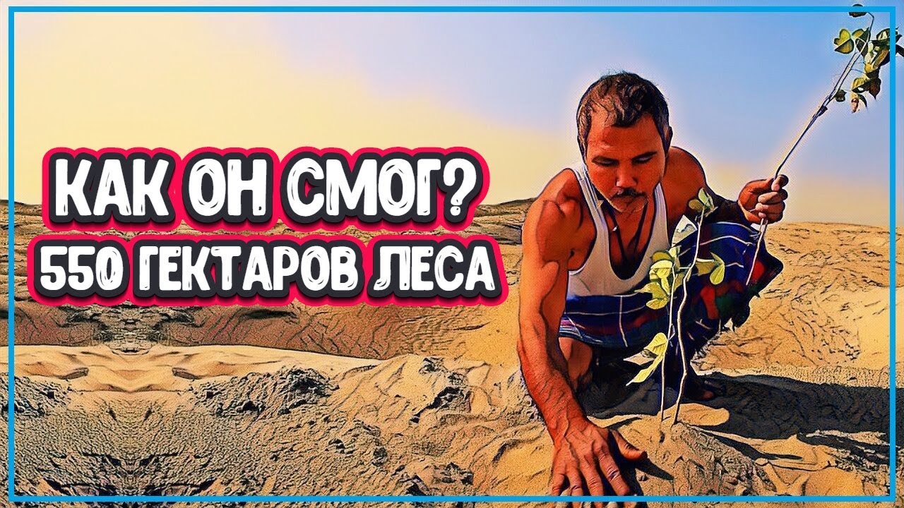 ЧЕЛОВЕК ВЫРАСТИЛ 550 ГЕКТАРОВ ЛЕСА