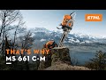 Motosierra Stihl MS661 | Video