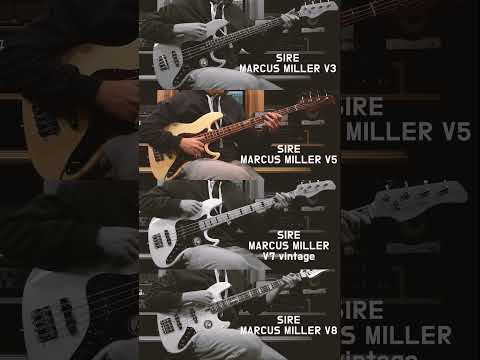 SIRE Marcus Miller V3 vs V5 vs V7 vintage vs V8