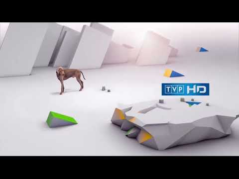 TVP HD - Oprawa Graficzna - (2013-2024) (1440p50fps)