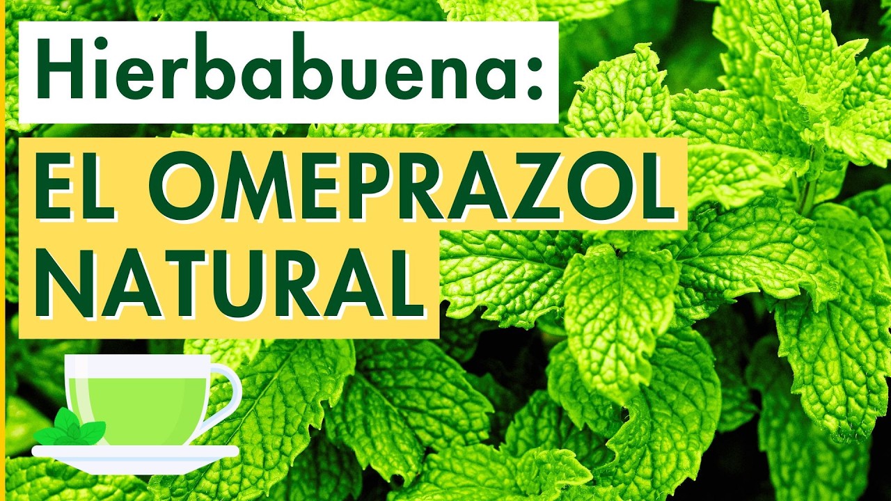 HIERBABUENA: El Omeprazol Natural ¿Qué Pasa En Tu Cuerpo Cuando La Consumes?