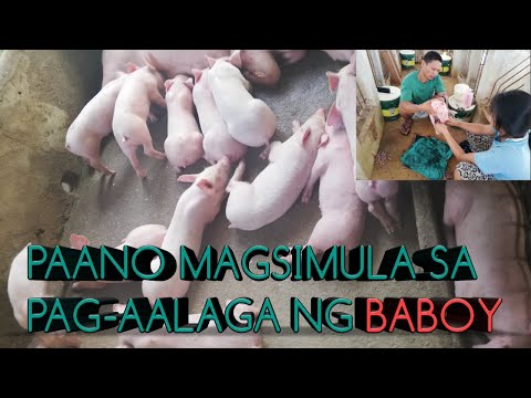 , title : 'paano magsimula sa pag aalaga ng baboy