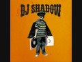 DJ Shadow - Artifact (Instrumental)