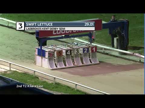 2020 LADBROKES KENT DERBY - 1ST SEMI - T3 SWIFT  LETTUCE