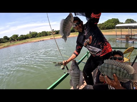 Pescaria de tilápia selvagem na represa de Ipiaçu MG