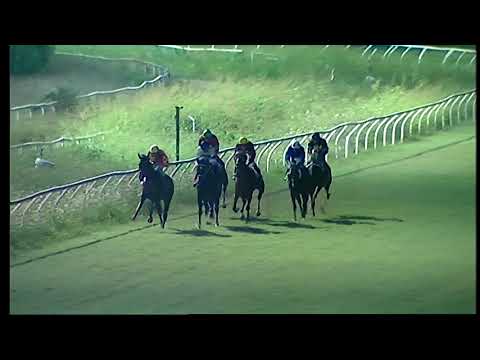 Napoli Galoppo 14/08/2021 - 3ª corsa