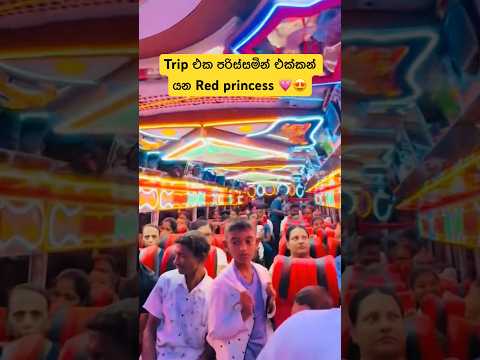 Red princess 🥹🔥 #automobile #𒆜foryou #srilanka #trending #viral #bus #1million #viruls #bustours