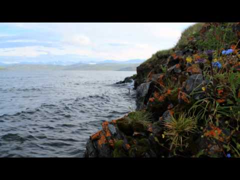 Смотреть видео Смотреть видео