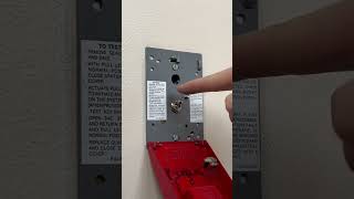 Pulling a Real Fire Alarm #intrusivethoughts #prank #pranks #firealarm