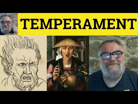 🔵 Temperament Meaning - Temperamental Defined - Temperament Examples - Essential GRE Vocabulary
