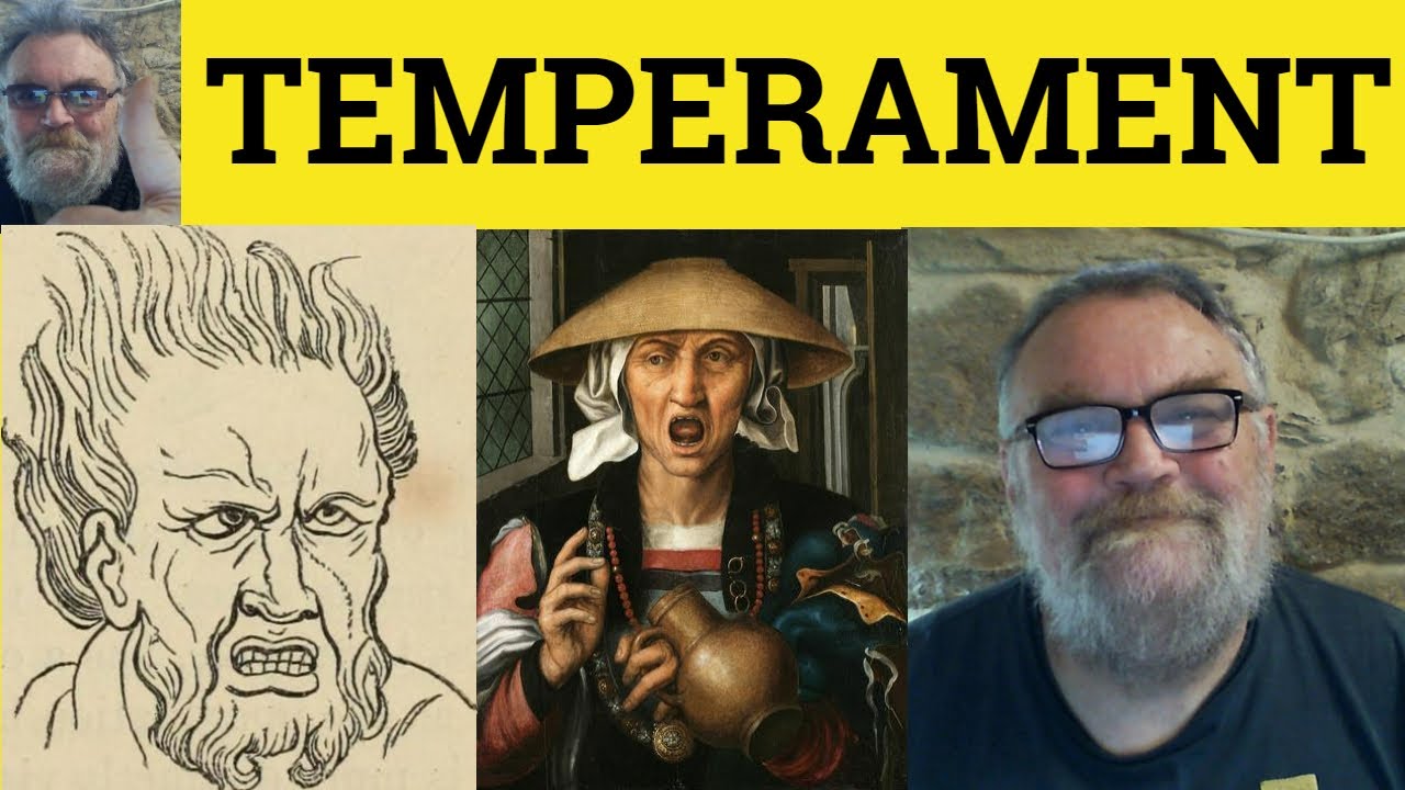 🔵 Temperament Meaning - Temperamental Defined - Temperament Examples - Essential GRE Vocabulary