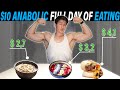 FULL DAY OF EATING WITH ONLY $10 | Anabolic Low Budget Meals + Update On My Injury