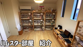ハムスターのお部屋を紹介するよ