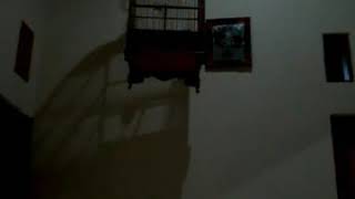 Download lagu kenari spit rapat mp3 Download lagu kenari spit rapat mp3