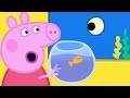 Peppa Pig En Español Episodios Animals Marinos Pepa La Cerdita