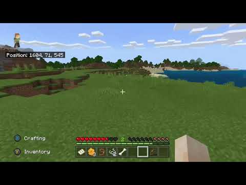 Minecraft Herobrine Sighting