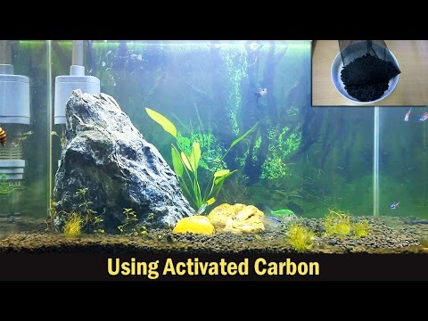 Using activated carbon in aquariums